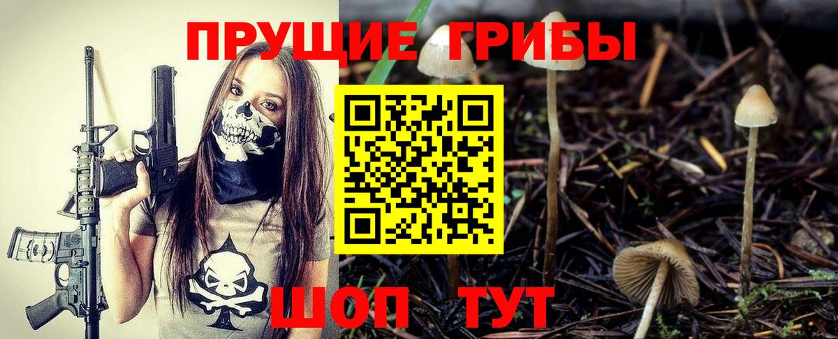 Галлюциногенные грибы Cubensis Углич