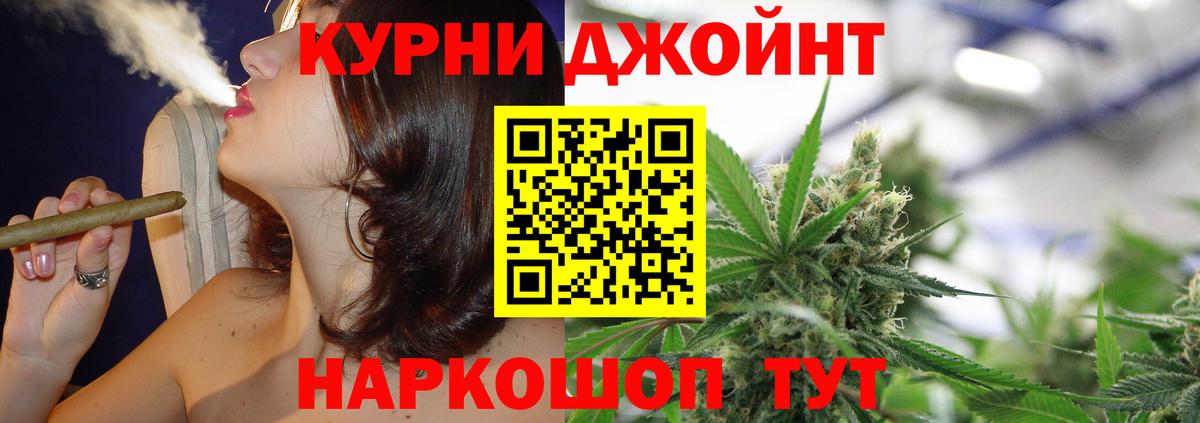 Бошки Шишки планчик Углич